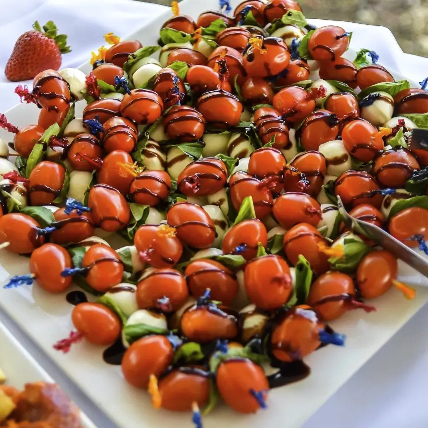 vegetarian-options-gourmet-food
